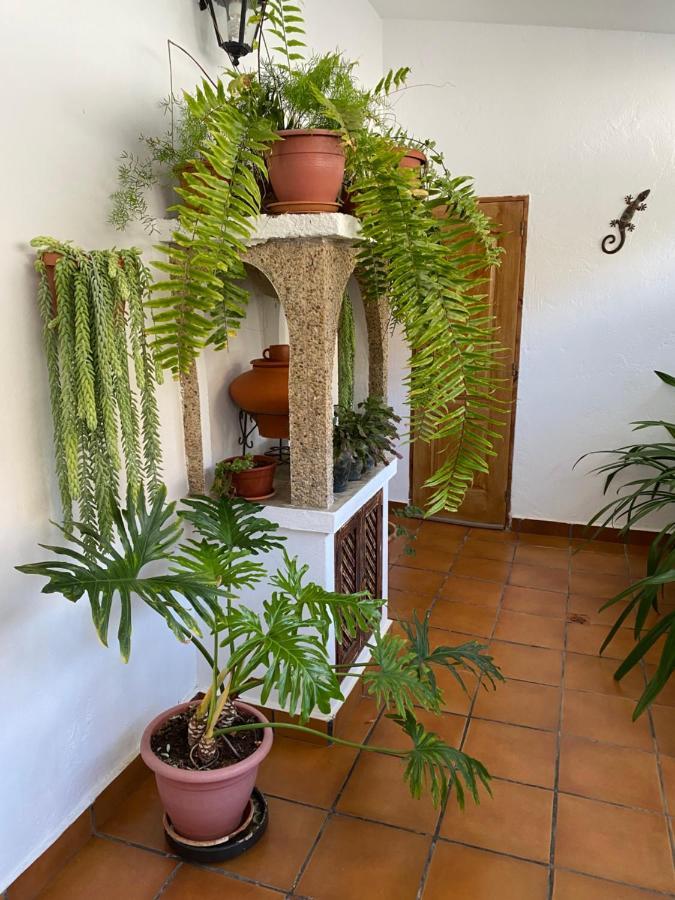 Casa En Mogan Villa Las Burrillas Luaran gambar